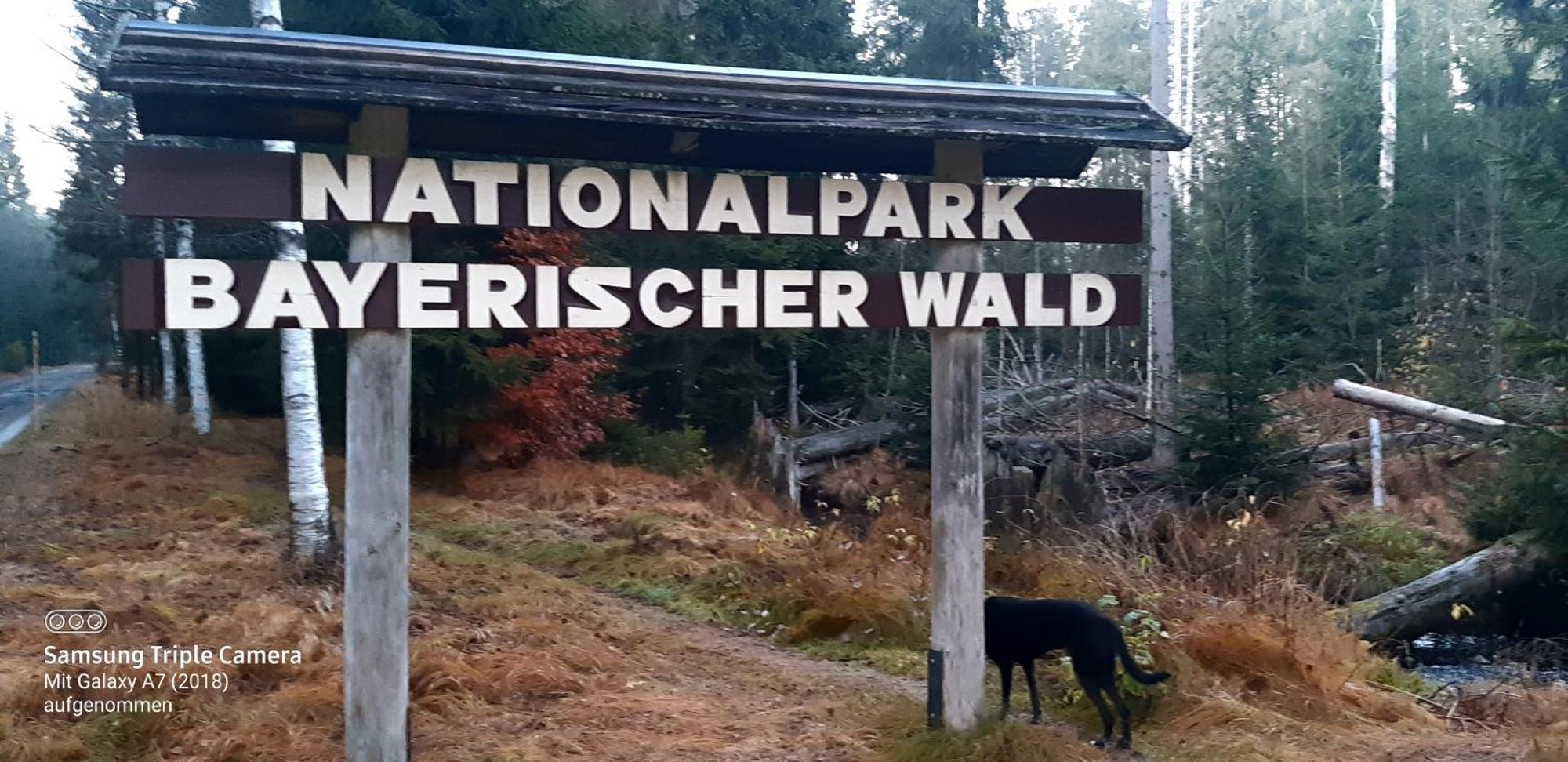 Gaestehaus Am Goldberg Sankt Oswald-Riedlhuette Eksteriør bilde